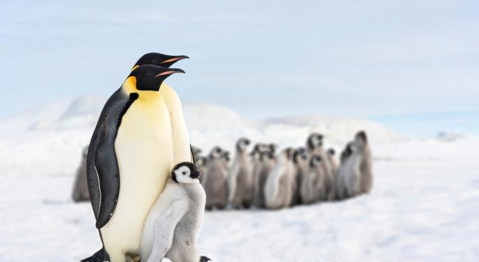 If You Invested $1,000 In Pudgy Penguins NFTs At Mint, Here's How Much You'd Have Today