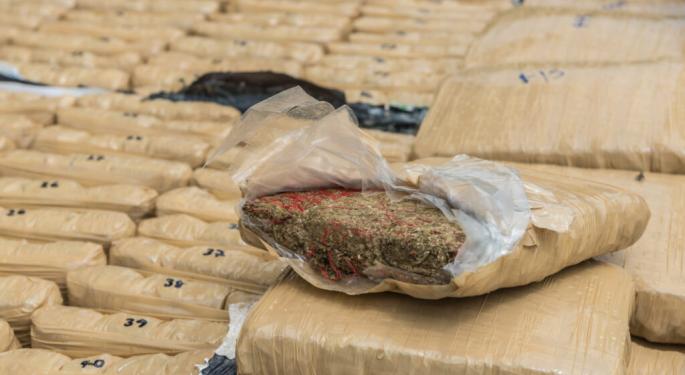 North Of $312M In Illegal Marijuana Seized, 318K Plants Eradicated In Just One Year In California