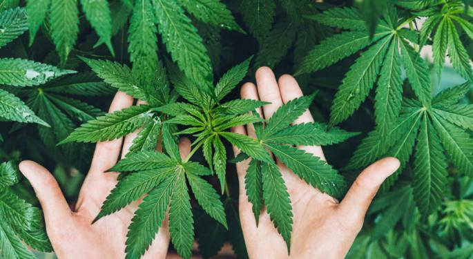 EXCLUSIVE: Shifting Public Perception Of Cannabis Industry, AI's Role, More Insights From Market Leaders