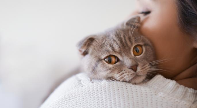 Bubonic Plague Strikes Oregon After Nearly A Decade—Blamed On Pet Cat