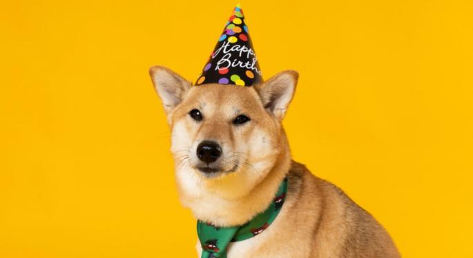 'Dogecoin Rival' WIF Surges 34% In A Single Day Even As DOGE, SHIB Take A Plunge
