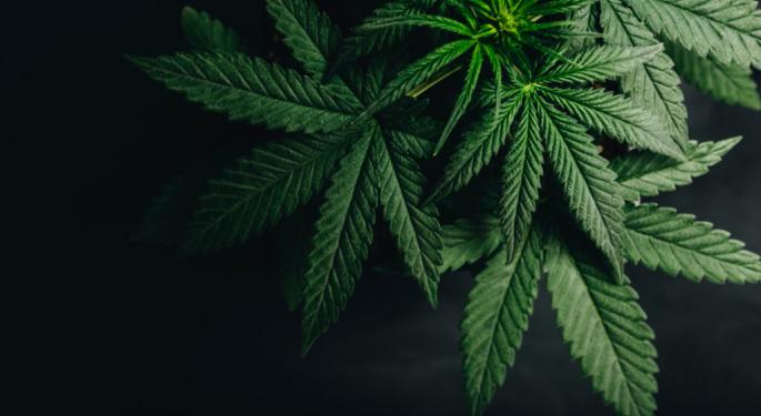 Biden Admin Official Denies Cannabis Shift Rumors, Gen-Zers Say They Can Drive Stoned, FLA Caps Weed Strength & More Updates