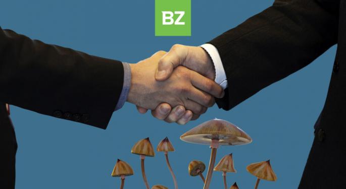 Truffles To Market: Red Light Holland Wants To Develop Psilocybin API At Scale