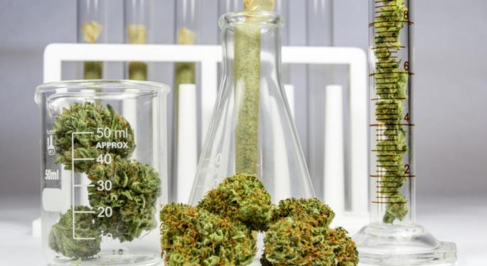 Japanese University Will Research Marijuana's Medical Uses In First-Of-Its-Kind Collaboration With Australian Company