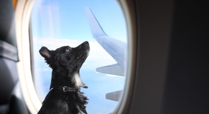 American Airlines Relaxes Pet Policy, Now You Can Bring An Additional Item In The Cabin With Your Fur Baby