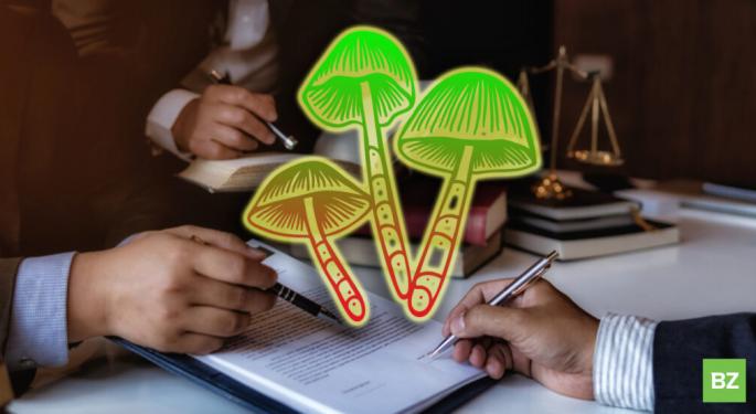 Medford Massachusets Move To Decriminalize Psychedelics Has Statewide Reform Implications