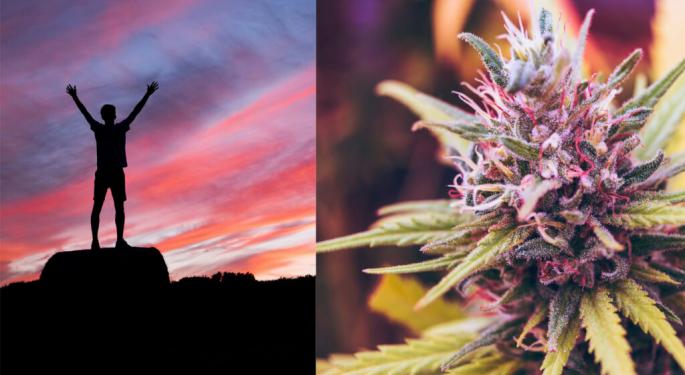 Rare Weed Compound Helps Suppress Appetite, Increases Energy & Motivation Without The Munchies, New Study Finds