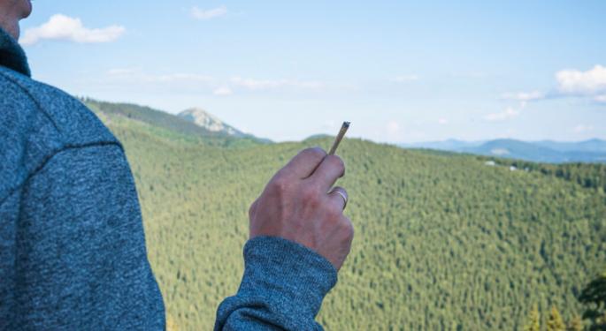 How One Cannabis Blunt Changed This Man's Life: From Monthly Seizures And Depression To A Holistic Lifestyle