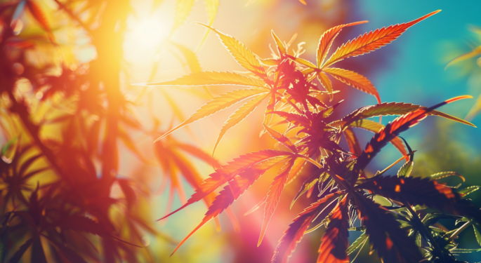 Massachusetts' Cannabis Market Hits Record Highs, Faces Regulatory Challenges, And More