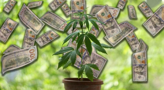 Exclusive Cash-Back Rewards Await In Jane Gold's Cannabis Consumer Program