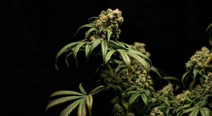 Former NFL Legends Bring Top Cannabis Strains To Boston With Launch Of 'Primitiv'