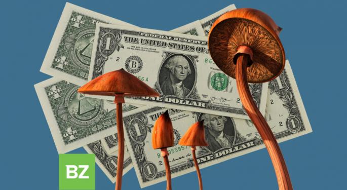 Medical Cannabis Pioneer cbdMD Secures $1.2M To Fund Rollout Of Functional Mushroom Products