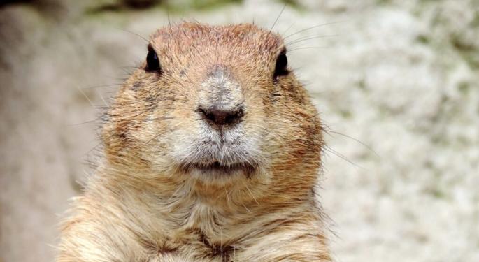 PETA Casts Shadow Over Groundhog Day, Wants This Method Used Instead: How Does Stock Market Perform On Holiday?