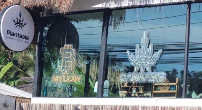 Russians Arrested For Illegal Crypto Trading In Thailand Cannabis Dispensary