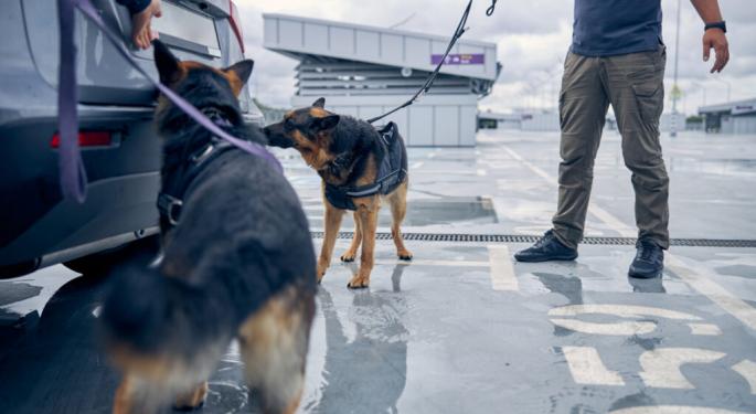 Can A K-9 Drug Sniffer Land You In Jail For Cannabis? Florida Court Sets New Limits