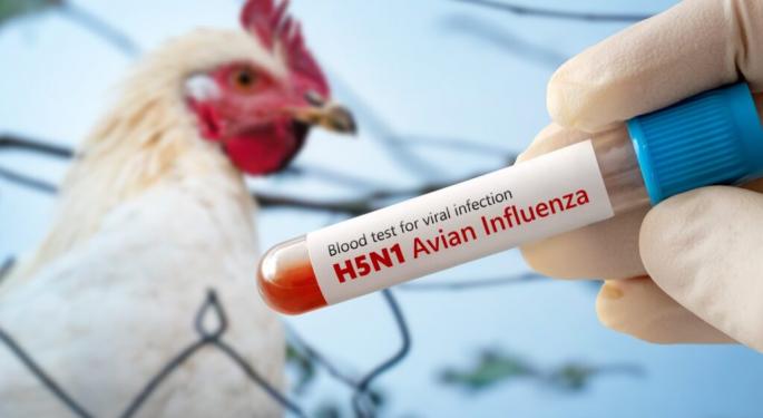 Bird Flu Update: First Commercial Case In Georgia, Moderna Receives $590 Million To Develop Vaccine