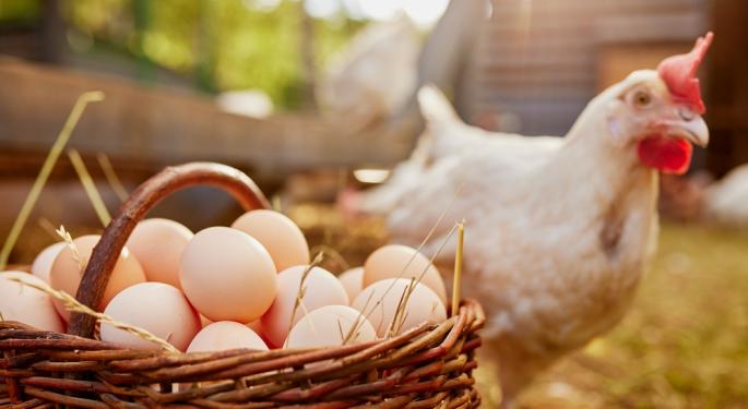 Eggs Prices Soar As Bird Flu Spreads: Why Experts Expect Another 45% Increase In 2025