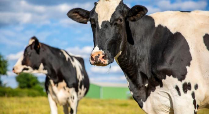 Deadly Bird Flu Strain Hits Dairy Cows: 'Could Make COVID Seem Like A Walk In The Park,' Expert Says CORRECTED