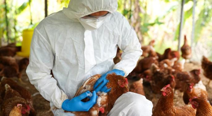 Trump Team Commits $1 Billion To Combat Bird Flu, Lower Egg Prices: 'Hopefully By Summer', Says USDA