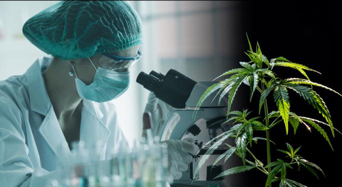 Cannabis For Pain Relief: Scientists Develop New Compound Without Mind-Altering Effects — Alternative To Opioids?