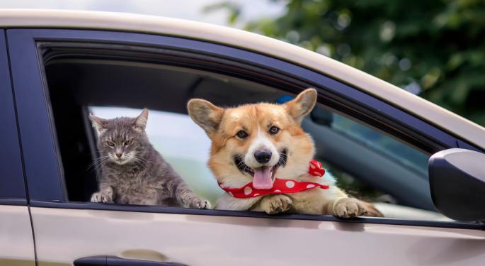 Petco Analysts See Turnaround Progress With Higher Margins, Profitability Focus