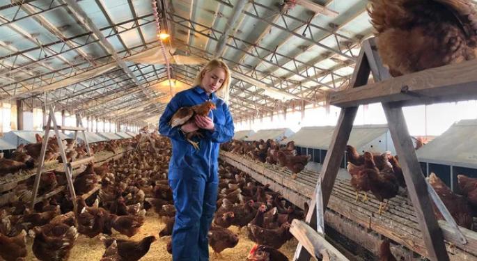 Cal-Maine Foods Stock Cracks After Egg Producer Reports Q3 Results, Inks Deal To Acquire Echo Lake Foods