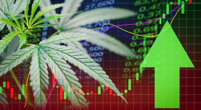 Why Cannabis Stocks Jumped By Double Digits And Why Analysts Say 'Don't Drink The Kool-Aid In One Gulp'