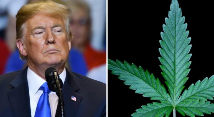 Donald Trump's DEA Nominee: Reviewing Cannabis Rescheduling Will 'Be One Of My First Priorities'