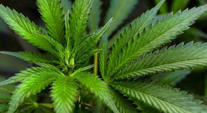 Cronos Stock Surges On Q1 Earnings Beat, 'Strong' Demand For Flower Products: '2025 Is Shaping Up To Be A Transformative Year'