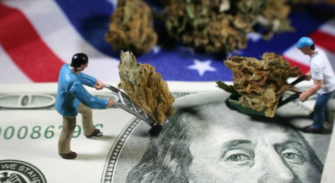 Cannabis Sales Are Up, But Jobs Are Down: Why Insiders Call It A Strategic Reset For Survival