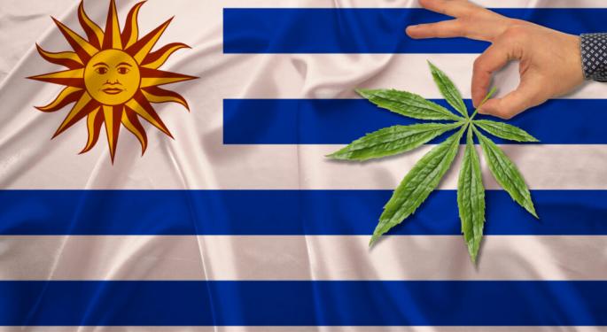 Legal Cannabis, 10 Years Later: Real Data From The First Country To Do It