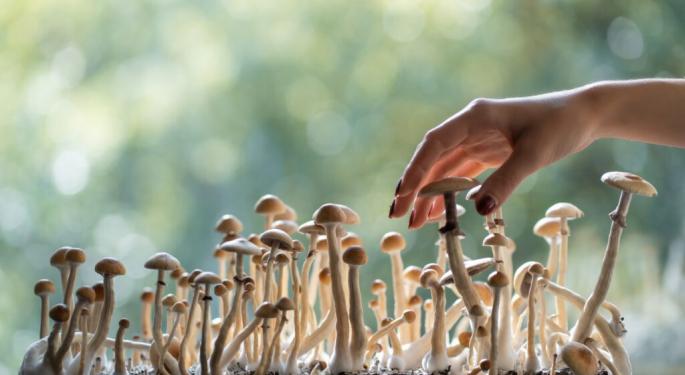 Psychedelics Policy Is Shifting In Washington: Here's What One Biotech CEO Sees Coming