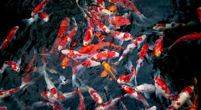 'They Want Us To Be Financially Responsible For Their Fish' — Seller Tried To Add Last-Minute Clause Making Buyer Pay $1,000 Per Dead Koi