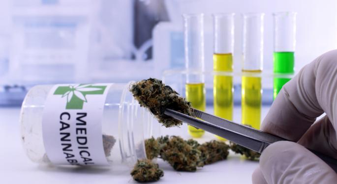 What's Going On With Tilray Brands Stock Today?
