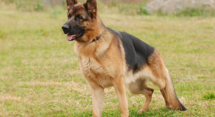 Big Bucks For Better Barks: Gallant Lands $18M To Bring Game-Changing Stem Cell Therapies To Pets