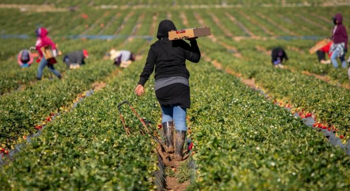 Agriculture Secretary Brooke Rollins Says Robots, Medicaid Recipients To Replace Migrant Workers