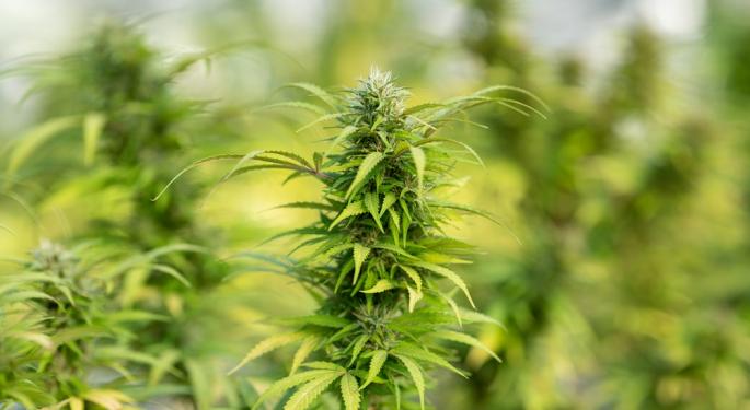 No License? No problem! Three Ways To Get Your Cannabis Product On Shelves Near You