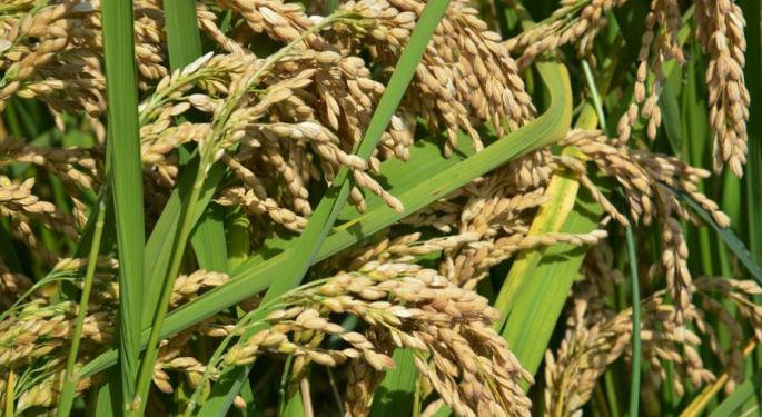 Forget About Tech. Shiyue Daotian Cooks Up Hot IPO With Premium Rice
