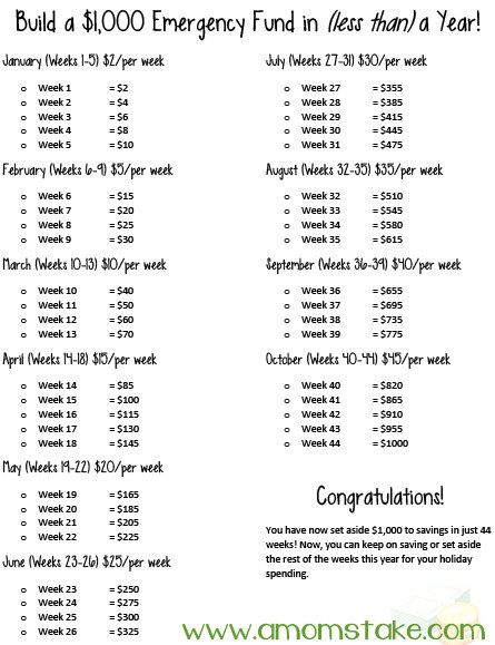 Build a $1000 Emergency Fund In A Year