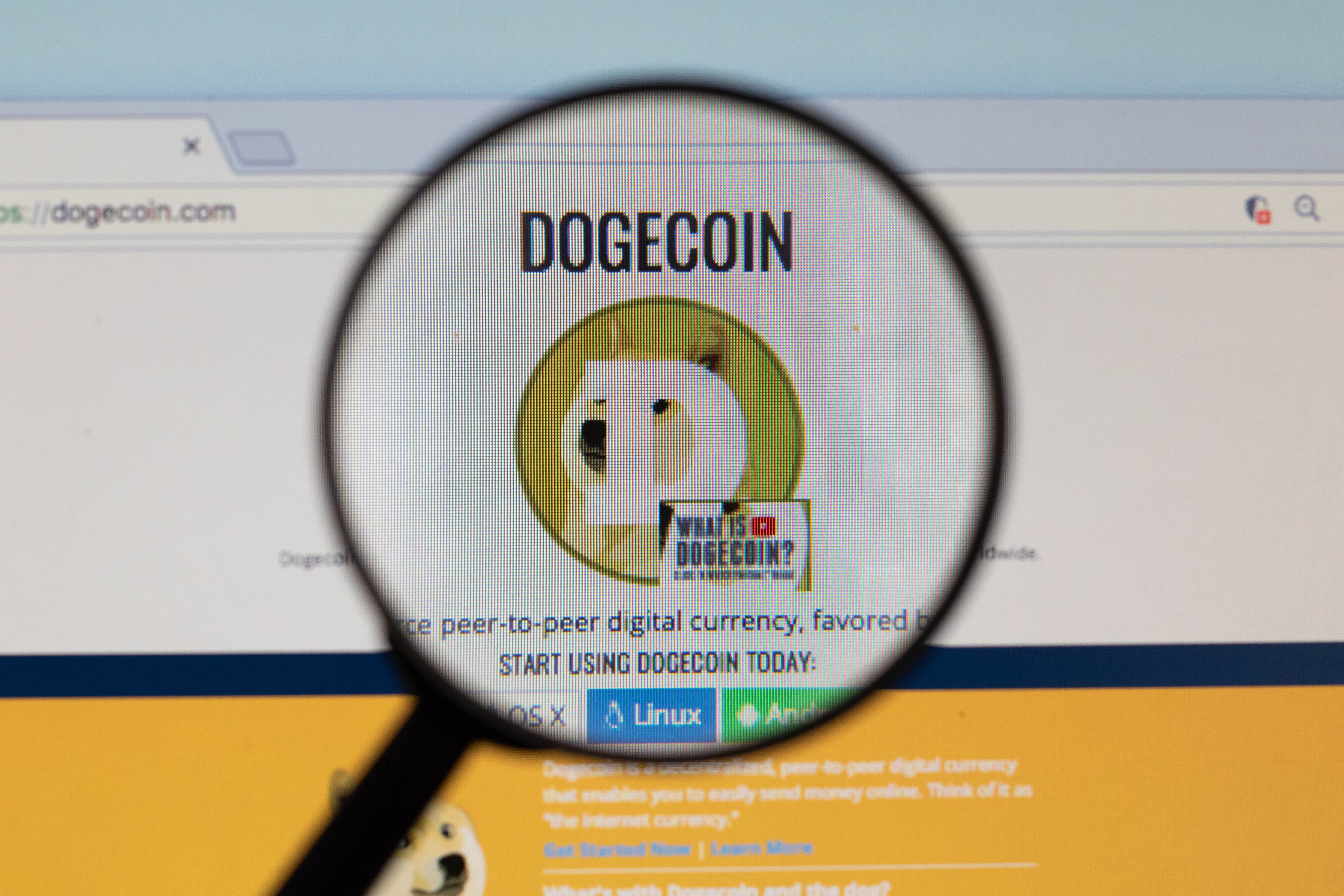 Dogecoin Upgrade To Lower Transaction Fees Sees Delay
