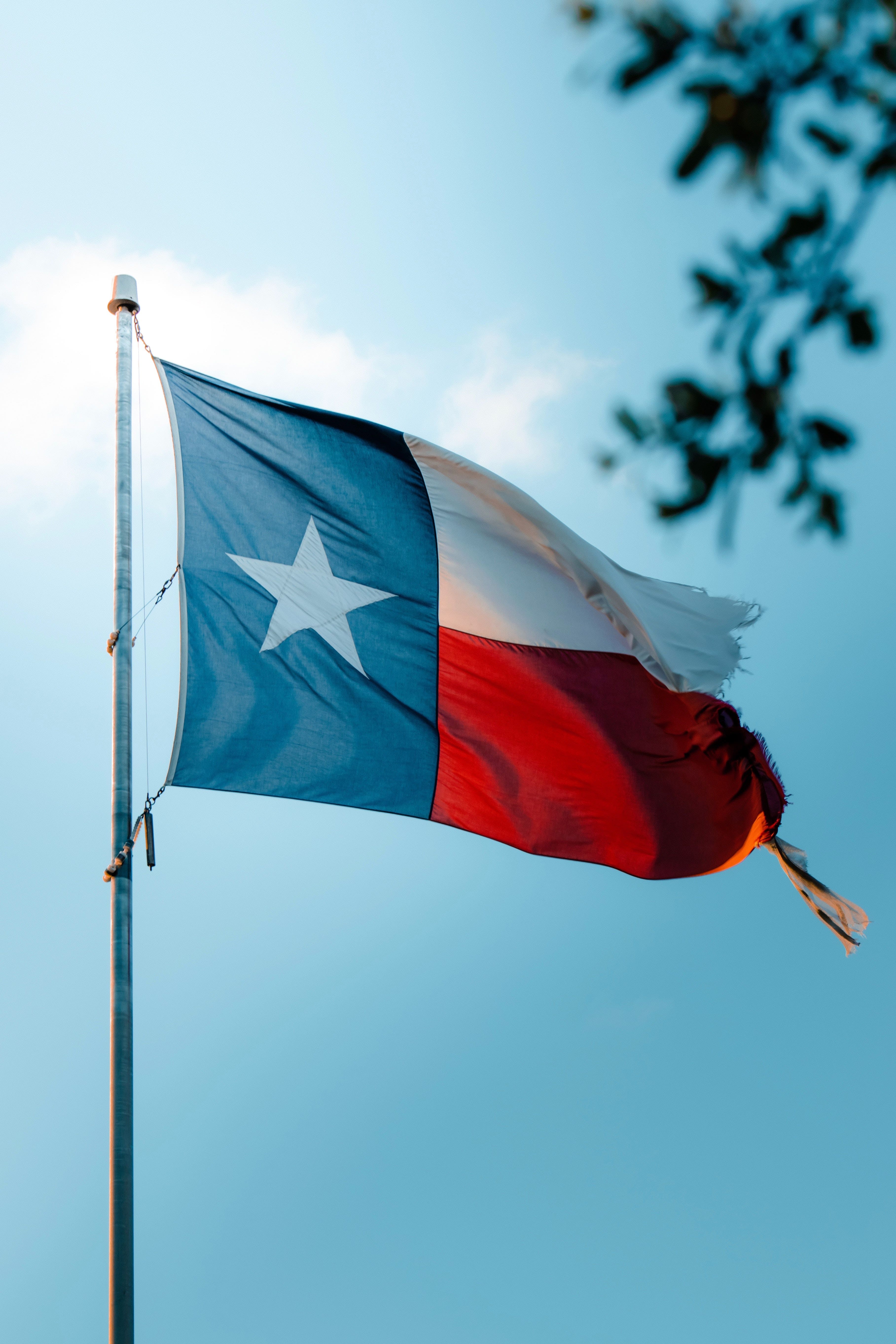 Texas Legislature Approves Psychedelics Research Bill, Will Now Head To Governor's Desk