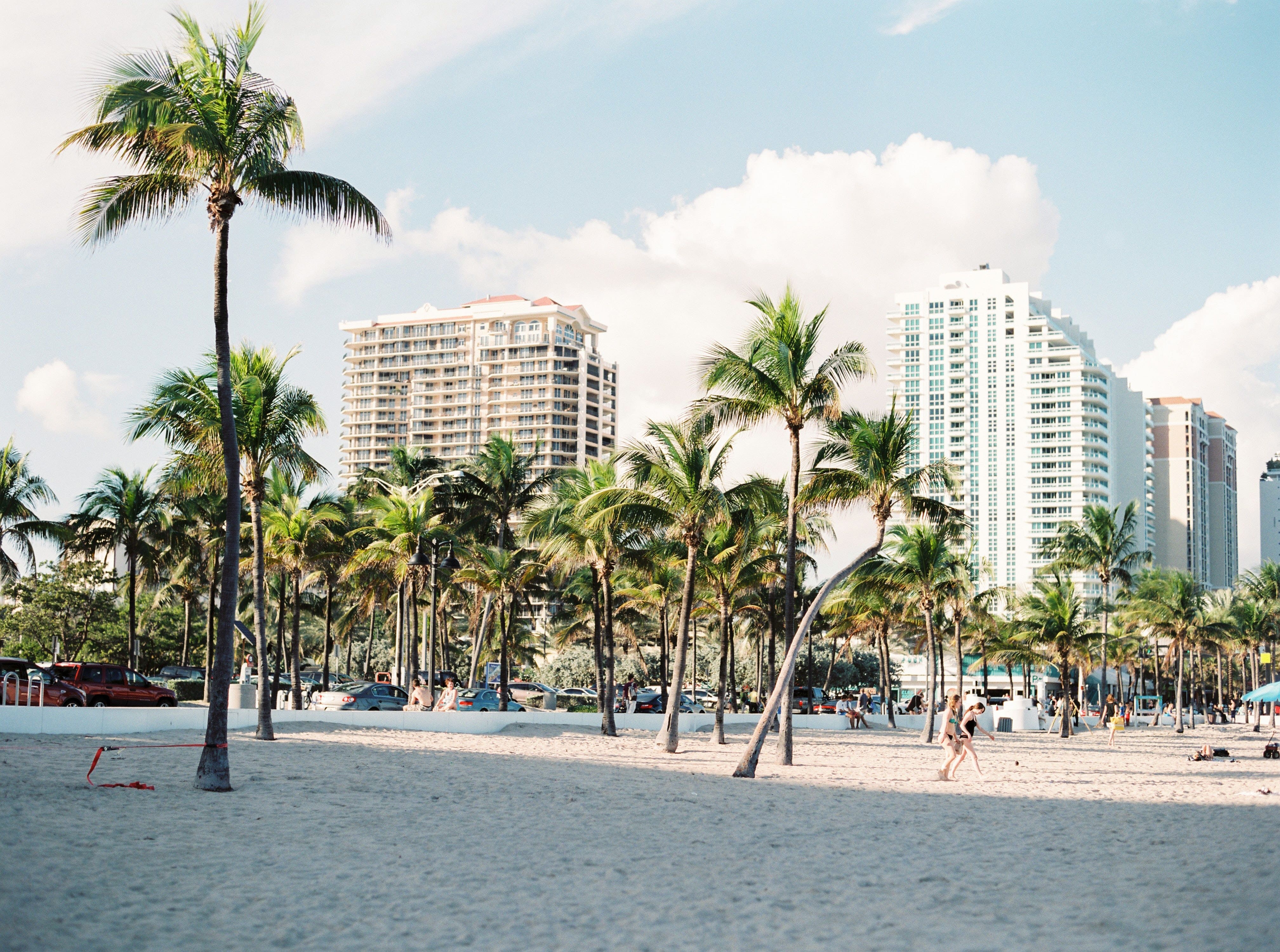 Is Miami the New Bay Area? How the Tech Scene is Heating Up
