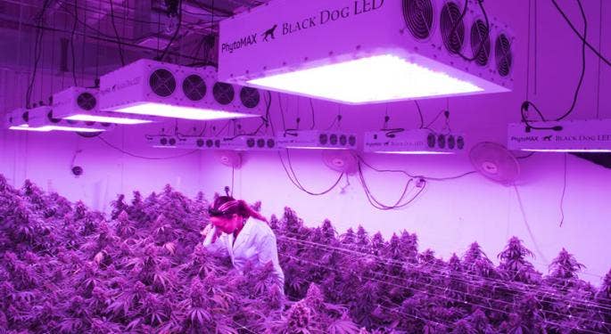 Black Dog Grow Tech Gets $250K Seed Investment From Fieldstone Equity