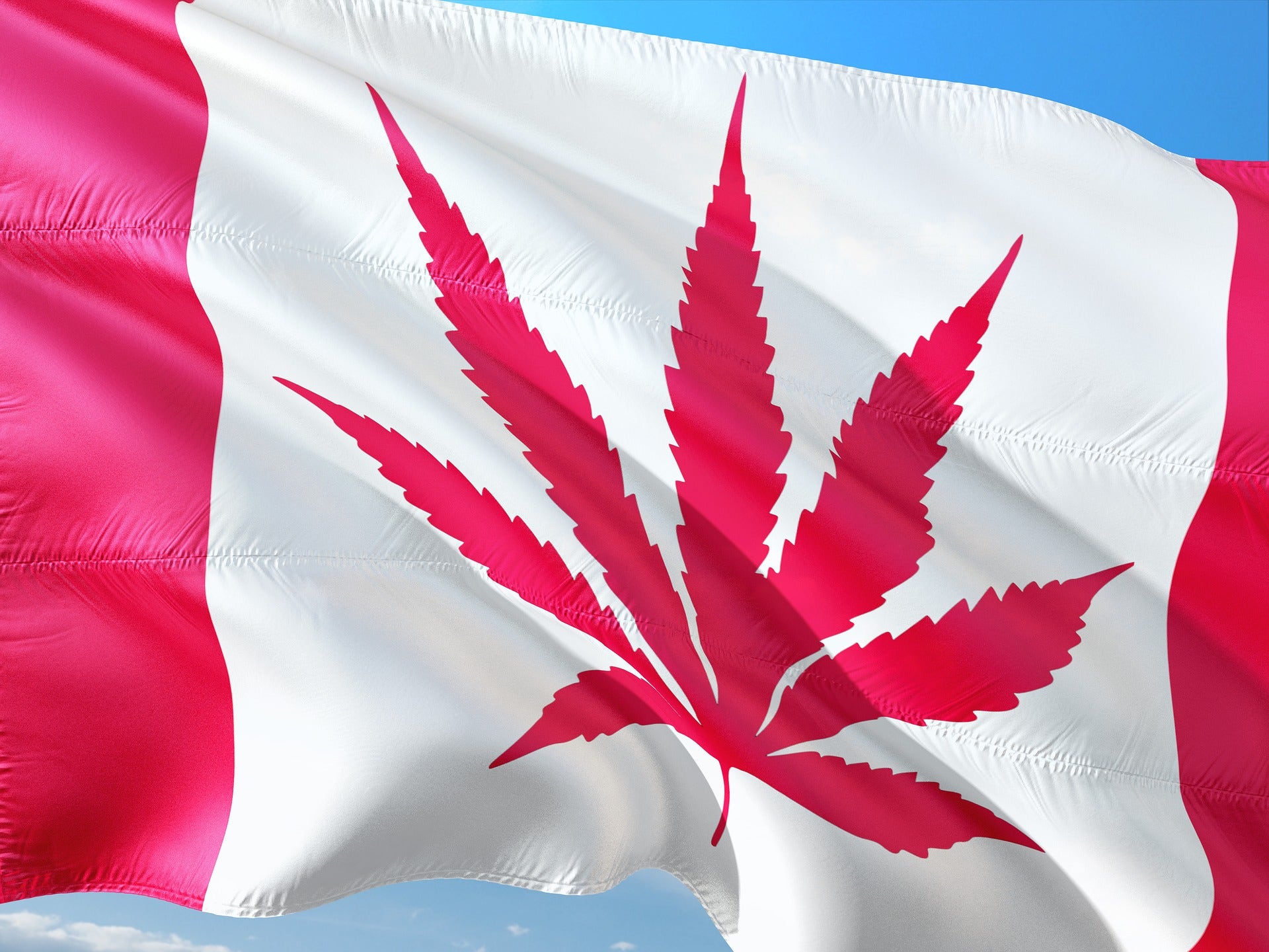 US Election Could Have 'Positive Collateral Benefits' For Canadian Cannabis Stocks
