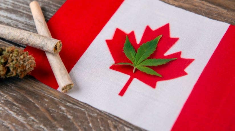 Canadian Retail Cannabis Sales Increased 36% In November To $354M