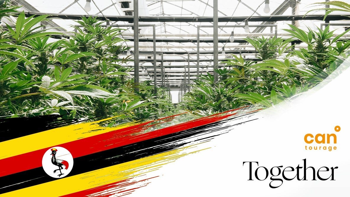 Cantourage Teams Up With Israel's Together Pharma To Bring First Ugandan Medical Cannabis To Germany