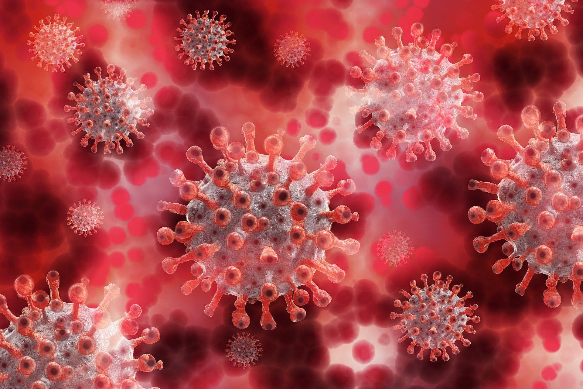 Moderna Will Start To Outrun Coronavirus Competition In 2021, Analyst Says