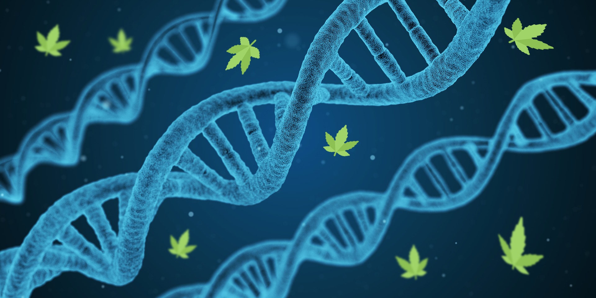 The Companies Offering DNA Testing To Find The Best Cannabis For You