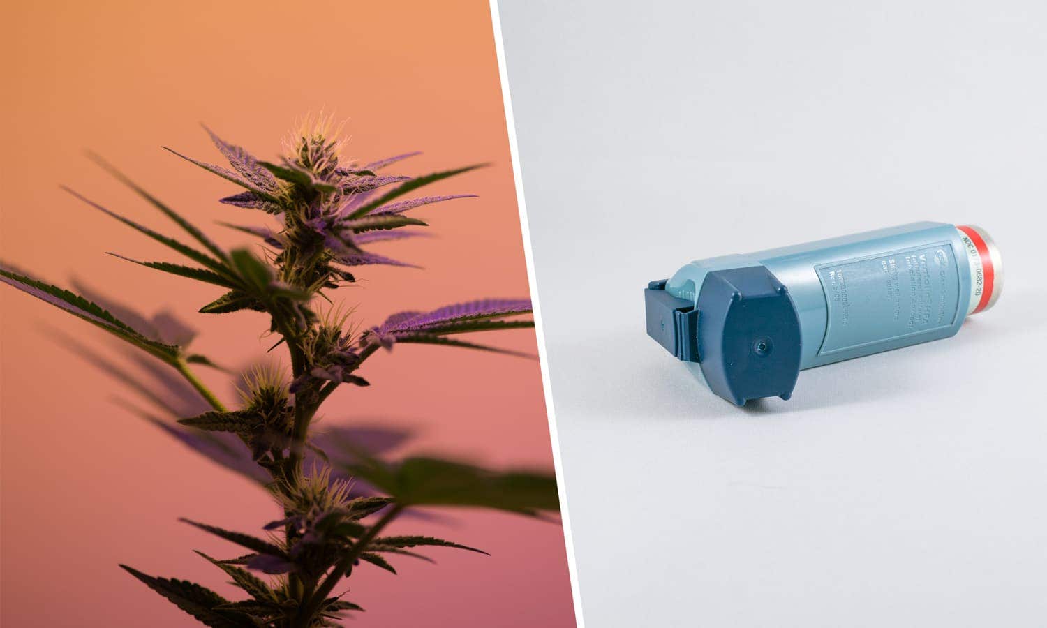 Does Weed Help With Asthma Or Does It Make It Worse?