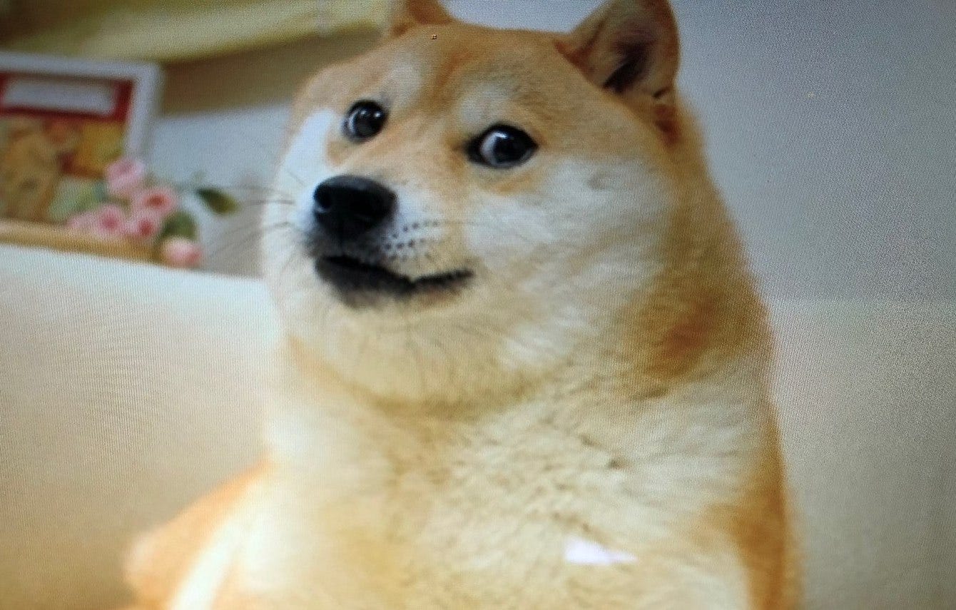 Such Popularity, Much Wow! Dogecoin Now Available At 1,800 ATMs Across US